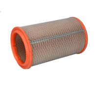 Filtro aria FILTRON AR 318 per FIAT BARCHETTA (183_) 1.8 1995-2005