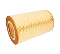 Filtro aria FILTRON AR 366/4 per SAAB 9-5 (YS3E) 3 2001-2005