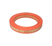 Filtro aria FILTRON AR204/1