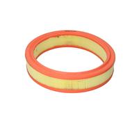 Filtro aria FILTRON AR232/2