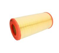 Filtro aria FILTRON AR304/2