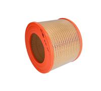 Filtro aria FILTRON AR307