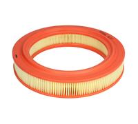 Filtro aria FILTRON AR323
