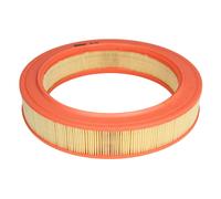 Filtro aria FILTRON AR339