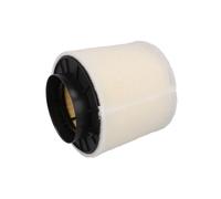 FILTRO ARIA FILTRON AUDI A4 A5 AK371/5