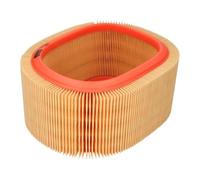 Filtro aria Filtron per Renault Clio Williams, Clio 16S e Renault Spider