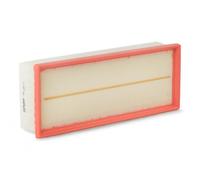 Filtro aria FILTRON AP139/1