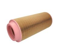 Filtro aria FLEETGUARD AF26391