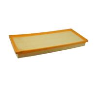 Filtro Aria Fresca per Jaguar X-Type I X400 2.1 2003 2004 2005 2006 2007 2008 2009 2.5 3.0 C2S11215 C2S51377