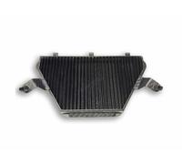 FILTRO ARIA FULL CARBON F1-85 SPRINT FILTER PER HONDA CBR 1000 RR-R / SP 2020-