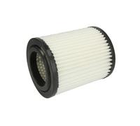 Filtro aria HENGST Filtration E813L