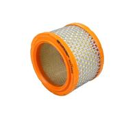 Filtro aria HFA6102 HIFLOFILTRO