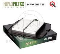 Filtro aria HIFLO HFA3612