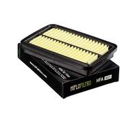 Filtro Aria Hiflofiltro HFA3621