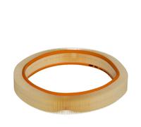 Filtro Aria Inserto Filtro Stallone per Mercedes Sl