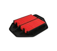 Filtro aria JC PREMIUM B24055PR