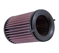 K&n Filtro DU-8015- Filtro Aria