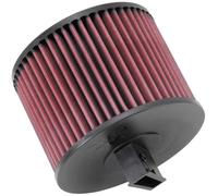 Filtro Aria K&N E-2022 Compatibile Con 05-08 323i 325i 330Ci 330i 330xi