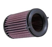 Filtro Aria K&N Filtro A Lungo Termine DU-8015