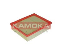 Filtro aria ricircolo F219801 KAMOKA per MERCEDES-BENZ CLASSE B Sports Tourer