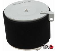 FILTRO ARIA KAWASAKI MULE 610 4X4 VIN JK1AFEA1 9B547192 AND ABOVE 2009 ALL BA...