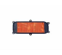 FILTRO ARIA KYMCO PEOPLE S LC 250/300 RMS