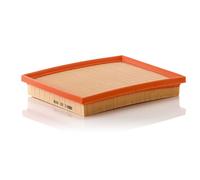 MANN-FILTER filtro aria C22009 cartuccia 224x187x35 mm