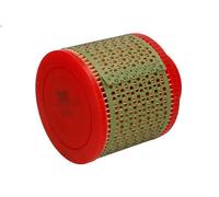 Filtro aria MANN-FILTER C 1131