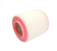 Filtro aria MANN-FILTER C 1652/2 AUDI A8 D3 (4E2, 4E8) 4.2 2005-2005