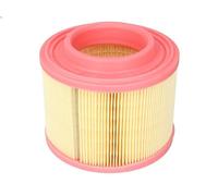 Filtro aria Cartuccia filtro C 1677 MANN-FILTER per AUDI A6 C6 A6 C6 Avant
