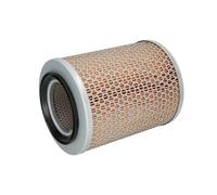 MANN-FILTER C 17 134 Filtro aria per DEUTZ-FAHR,FENDT