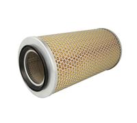 Filtro aria MANN-FILTER C 17 250