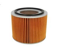 Mann Filter - Filtro aria C 18 006 - Cartuccia per Nissan Patrol GR V Wagon