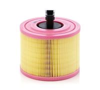 Filtro Aria Mann-filter C 18 114 per Bmw