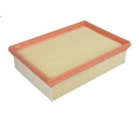 Mann Filter – Filtro dell'aria C 24 012/1 – per autovetture e veicoli commerciali
