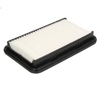 Filtro aria MANN-FILTER C 24 019