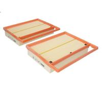 Filtro aria MANN-FILTER C 25 110-2