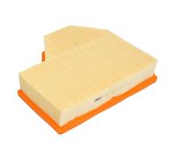 MANN-FILTER C 25 112 Filtro aria