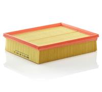 MANN-FILTER filtro aria C25146 cartuccia 246x207x58 mm