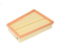 Filtro aria MANN-FILTER C 2510/1 per KANGOO BE BOP (KW0/1_) 1.5 2009-