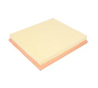 Filtro aria MANN-FILTER C 26 110/2