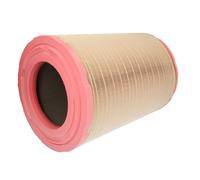 Filtro aria MANN-FILTER C 31 1254