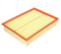 Filtro aria MANN-FILTER C 31 196 LAND ROVER DISCOVERY IV (L319) 3 2009-2018