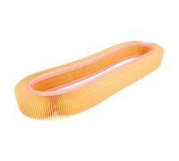 MANN-FILTER C 41 123 Filtro dell'aria - AUTOVETTURE + VEICOLI COMMERIALI