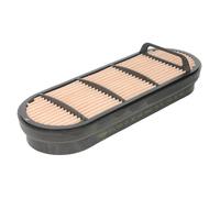 MANN-FILTER CF 30 100 Elemento secondario Aria - per Applicazioni fuori strada