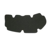 Filtro Aria Meiwa / Miw per Peugeot 125 Geopolis - PG34105