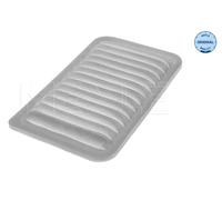 Meyle Filtro dell'aria 6123210010 per Opel e Suzuki