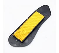 Filtro aria Miw meiwa y4218 per Yamaha x-Max/x-city 125-250 (2644957)
