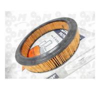 Filtro aria motore OHC 1300 e 1600 e 2000 cc per Ford Sierra 1982-1993