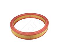 Filtro Aria Motore Per ESCORT, FIESTA 1.4 89- 1444N6 6162294 89SF9601AA